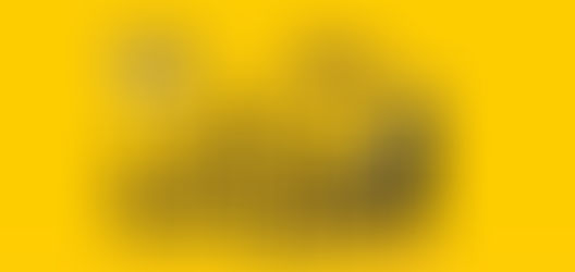 5ª Edição do Festival Nordestino em Bragança Paulista traz comidas típicas e diversos shows