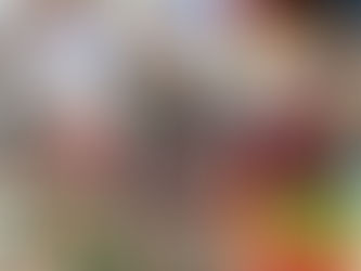 Feira das Luluzinhas acontece no Euroville Mall nos dias 9, 10, 11 e 12 de dezembro