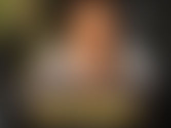 Os 3 pilares de uma marca autoral