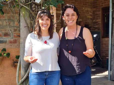 Comunidade que Sustenta a Agricultura (CSA) em Bragança Paulista: quando o alimento aproxima e transforma