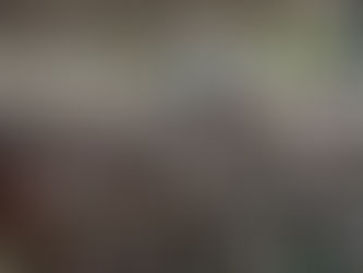 13º Festival da Linguiça começa nesta sexta-feira com o tema “Os Sabores que Valem uma História”