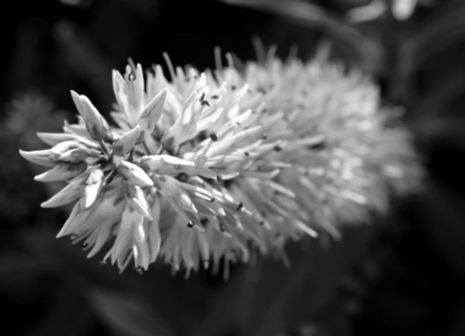 IMG_2456.jpg