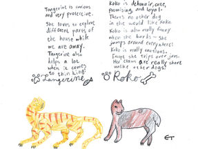 Imaginative Pets: Tangerine and Koko