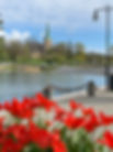 gustavsbergs kyrka.jpg