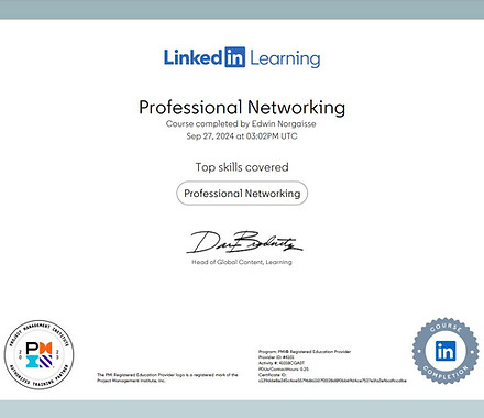 Professional Networking.jpg