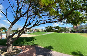 S__403292241.jpg