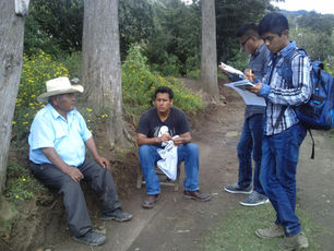 El ultimo violinista