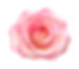 AdobeStock_128858954.jpeg