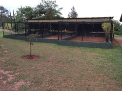 Área de Soltura e Monitoramento