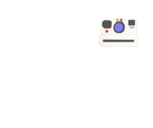 Polaroid Camera_4.gif