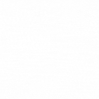apex (200 × 200 px)(2).gif