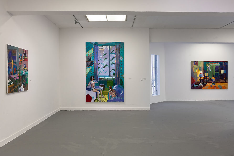 installation_view,_credit__Elie_Posner.צילום_הצבה,_קרדיט__אלי_פוזנר(9)[1].jpg