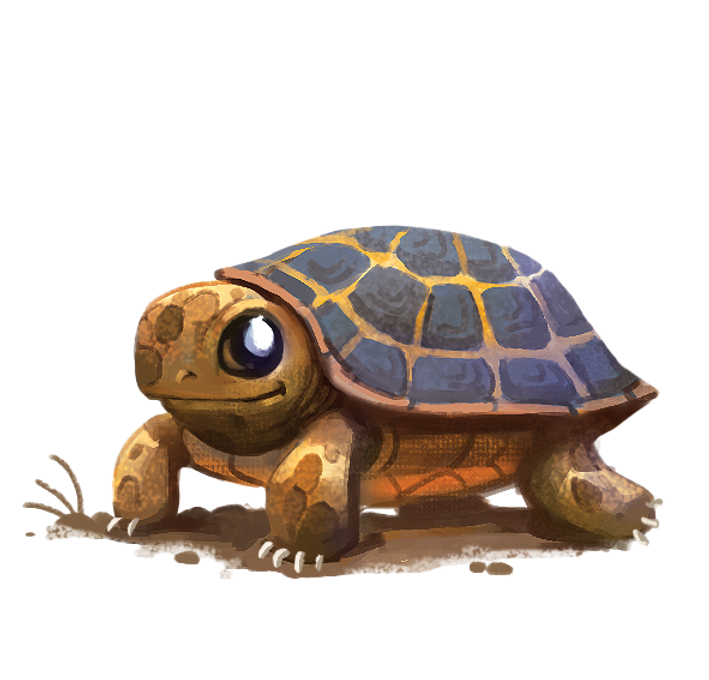 tiny_turtle.png