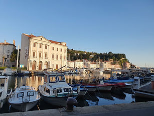 20220428_185920.jpg