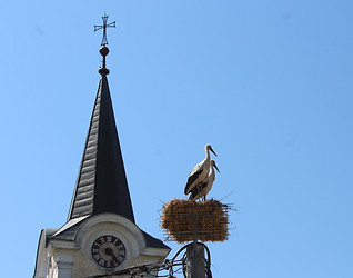 IMG_9705.JPG
