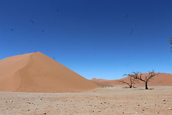 IMG_9124.JPG