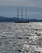 20220501_171953.jpg