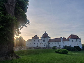 20220511_193303.jpg