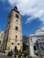20220426_154555.jpg