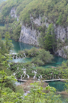 IMG_9660.JPG