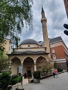 20220505_171626.jpg