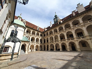 20220425_103526.jpg