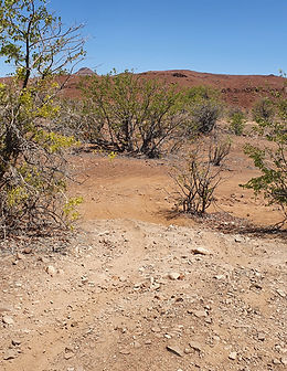 20211124_141225.jpg