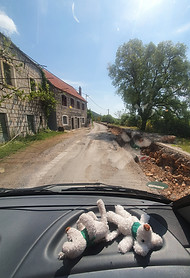 20220504_104240.jpg