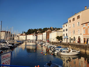 20220428_184646.jpg