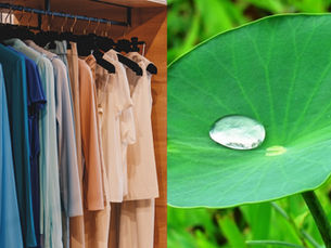 Green is the New Black: Super-hydrophobic Textiles & the Lotus Leaf
