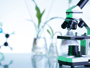 What is Bioinspired Materials Science?