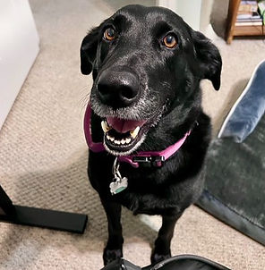 37386195_10216683895951391_8480361403524