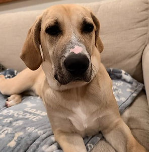 37386195_10216683895951391_8480361403524