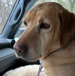 37386195_10216683895951391_8480361403524