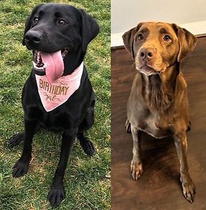 37386195_10216683895951391_8480361403524