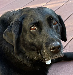 37386195_10216683895951391_8480361403524