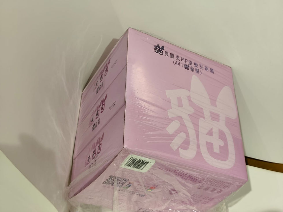 網站設計公司包裝設計公司