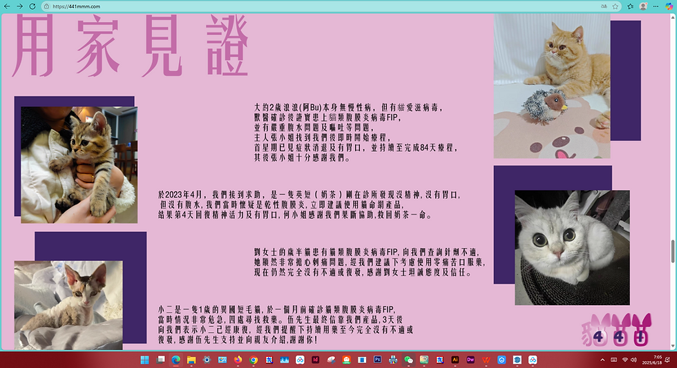 網站設計公司包裝設計公司