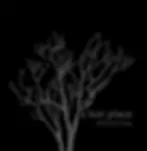 "A Lost Place" by Aletheia Casey