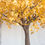 Миниатюра: Аренда искусственного дерева Гинкго Золотая 3 м.