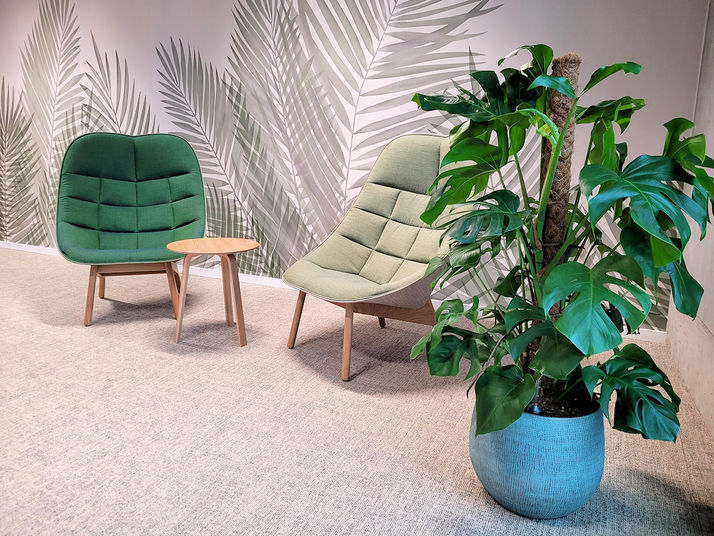 kantoorplanten CM Hasselt,
