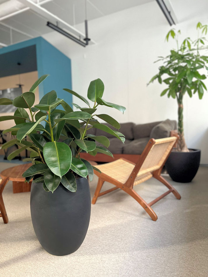 MCA Labs-Antwerpen-planten-biophilic design-plant-axis
