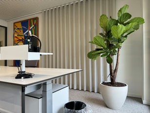 The-House-of-the-Euro-Ficus-Lyrata-PotteryPots-Refined-kantoorplant