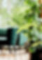 Kemin - Barrik - Mix van kamerplanten in natuurlijke pot 2.jpg