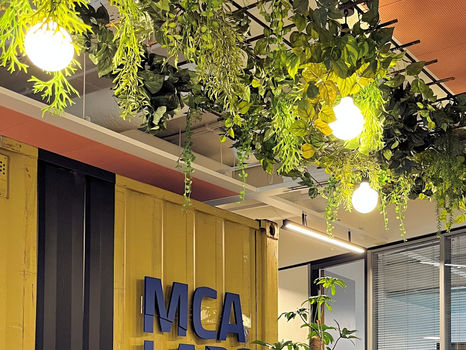Groendeco voor co-working space