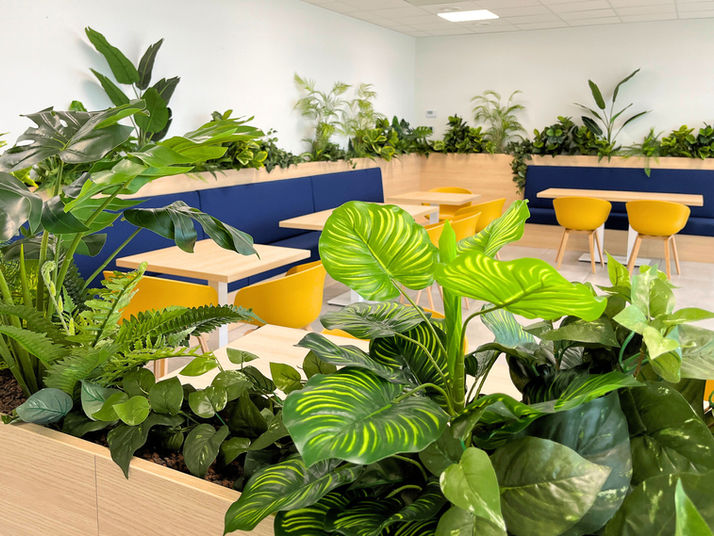 kunstplanten-interieurbeplanting-eventdecoratie-plant-axis-belgie-biophilic design