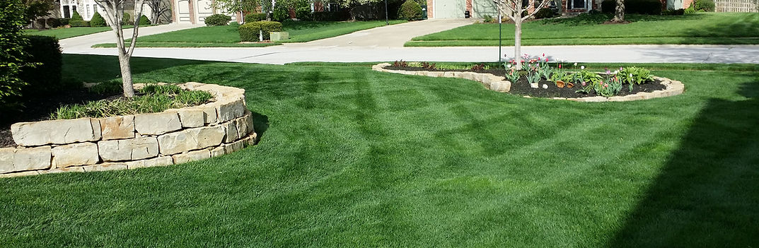 CJS Landscaping photo 2