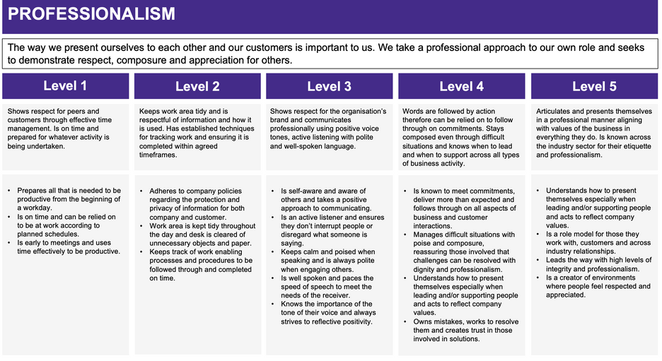 Syncap Scorecard - Professionalism.png