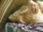 ''Tawny'' Detail