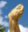 ''Bog Angels'' Detail